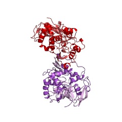 Example Structure of 2-alkenal reductase (NADP+) EC#: 1.3.1.102