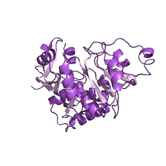 Example Structure of 2-haloacrylate reductase EC#: 1.3.1.103