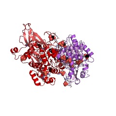 Example Structure of enoyl-[acyl-carrier-protein] reductase (NADPH) EC#: 1.3.1.104