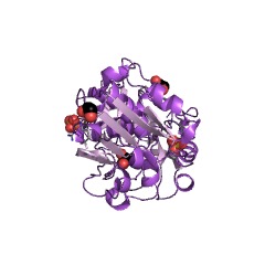 Example Structure of 2-methylene-furan-3-one reductase EC#: 1.3.1.105