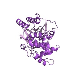 Example Structure of anthocyanidin reductase [(2S)-flavan-3-ol-forming] EC#: 1.3.1.112
