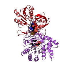Example Structure of dihydroorotate dehydrogenase (NAD+) EC#: 1.3.1.14