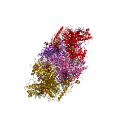 Example Structure of dihydropyrimidine dehydrogenase (NADP+) EC#: 1.3.1.2