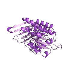 Example Structure of biliverdin reductase EC#: 1.3.1.24