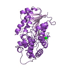 Example Structure of DELTA4-3-oxosteroid 5beta-reductase EC#: 1.3.1.3