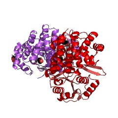 Example Structure of maleylacetate reductase EC#: 1.3.1.32