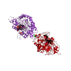 Example Structure of 12-oxophytodienoate reductase EC#: 1.3.1.42