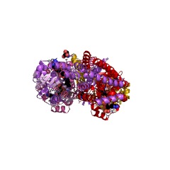 Example Structure of arogenate dehydrogenase EC#: 1.3.1.43