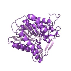 Example Structure of trans-2-enoyl-CoA reductase (NAD+) EC#: 1.3.1.44