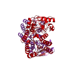 Example Structure of 2'-hydroxyisoflavone reductase EC#: 1.3.1.45