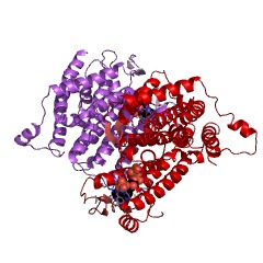 Example Structure of DELTA14-sterol reductase EC#: 1.3.1.70