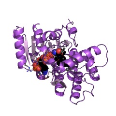Example Structure of (-)-isopiperitenone reductase EC#: 1.3.1.82
