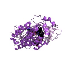 Example Structure of geranylgeranyl diphosphate reductase EC#: 1.3.1.83