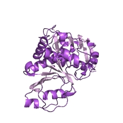 Example Structure of acrylyl-CoA reductase (NADPH) EC#: 1.3.1.84
