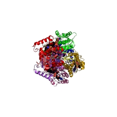 Example Structure of enoyl-[acyl-carrier-protein] reductase (NADH) EC#: 1.3.1.9