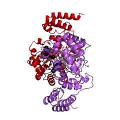 Example Structure of tRNA-dihydrouridine20 synthase [NAD(P)+] EC#: 1.3.1.91