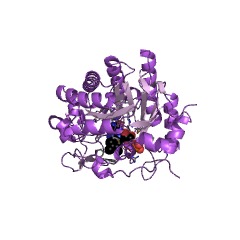 Example Structure of artemisinic aldehyde DELTA11(13)-reductase EC#: 1.3.1.92
