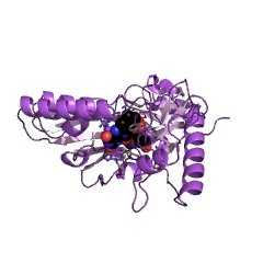 Example Structure of UDP-N-acetylmuramate dehydrogenase EC#: 1.3.1.98
