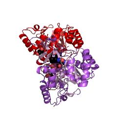 Example Structure of dihydroorotate oxidase EC#: 1.3.3.1
