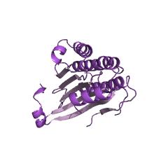 Example Structure of coproporphyrinogen oxidase EC#: 1.3.3.3