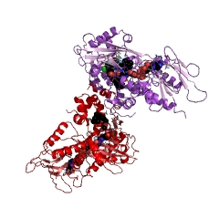 Example Structure of protoporphyrinogen oxidase EC#: 1.3.3.4