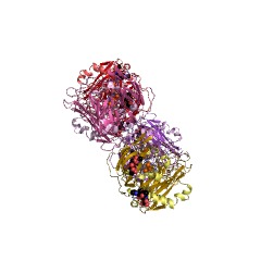 Example Structure of bilirubin oxidase EC#: 1.3.3.5