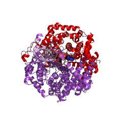 Example Structure of acyl-CoA oxidase EC#: 1.3.3.6
