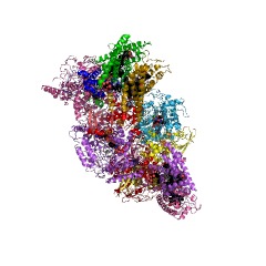 Example Structure of succinate dehydrogenase EC#: 1.3.5.1