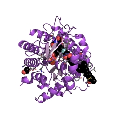 Example Structure of dihydroorotate dehydrogenase (quinone) EC#: 1.3.5.2
