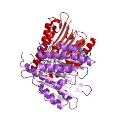 Example Structure of red chlorophyll catabolite reductase EC#: 1.3.7.12