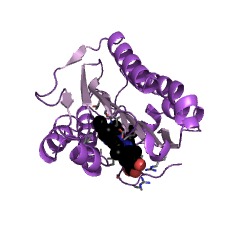 Example Structure of 15,16-dihydrobiliverdin:ferredoxin oxidoreductase EC#: 1.3.7.2