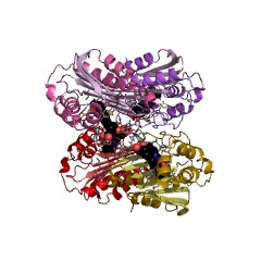 Example Structure of phycoerythrobilin synthase EC#: 1.3.7.6