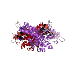 Example Structure of short-chain acyl-CoA dehydrogenase EC#: 1.3.8.1