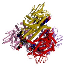 Example Structure of isovaleryl-CoA dehydrogenase EC#: 1.3.8.4