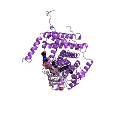 Example Structure of very-long-chain acyl-CoA dehydrogenase EC#: 1.3.8.9