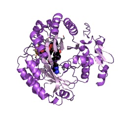 Example Structure of coproporphyrinogen dehydrogenase EC#: 1.3.98.3