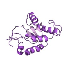 Example Structure of succinate dehydrogenase EC#: 1.3.99.1