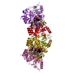 Example Structure of dihydroorotate dehydrogenase EC#: 1.3.99.11