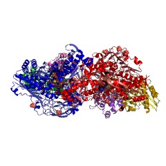 Example Structure of quinoline 2-oxidoreductase EC#: 1.3.99.17