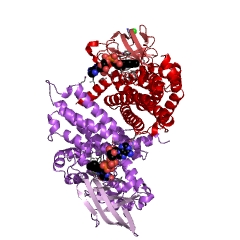Example Structure of acyl-CoA dehydrogenase EC#: 1.3.99.3