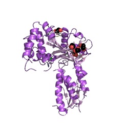 Example Structure of phytoene desaturase (lycopene-forming) EC#: 1.3.99.31