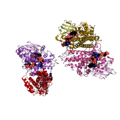 Example Structure of glutaryl-CoA dehydrogenase (acceptor) EC#: 1.3.99.32