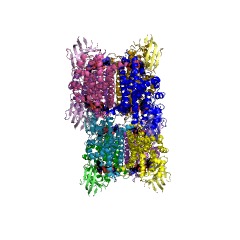 Example Structure of glutaryl-CoA dehydrogenase EC#: 1.3.99.7