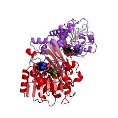 Example Structure of alanine dehydrogenase EC#: 1.4.1.1