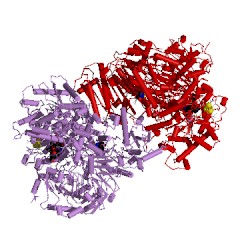 Example Structure of glutamate synthase (NADPH) EC#: 1.4.1.13