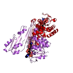 Example Structure of diaminopimelate dehydrogenase EC#: 1.4.1.16