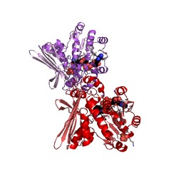 Example Structure of lysine 6-dehydrogenase EC#: 1.4.1.18