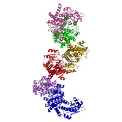 Example Structure of tryptophan dehydrogenase EC#: 1.4.1.19