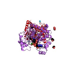 Example Structure of phenylalanine dehydrogenase EC#: 1.4.1.20