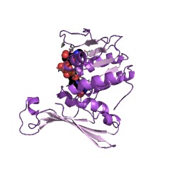 Example Structure of aspartate dehydrogenase EC#: 1.4.1.21